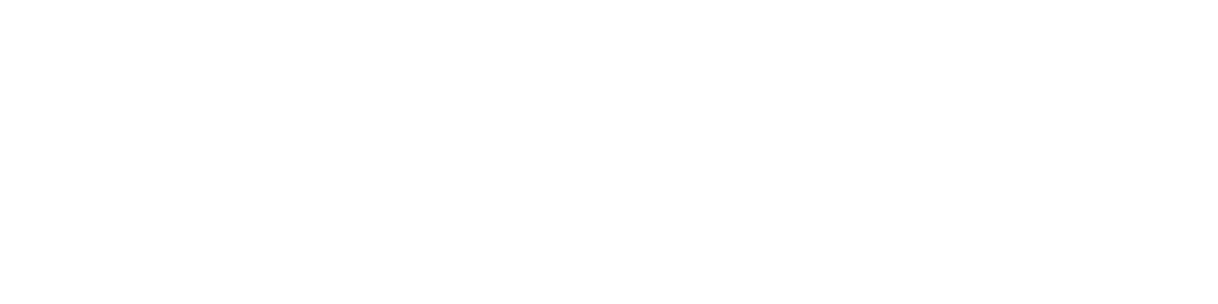 Dicotel logo